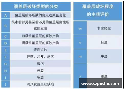 yh86银河国际足球球星卡评级流程揭秘及其对收藏市场的影响分析 - 副本